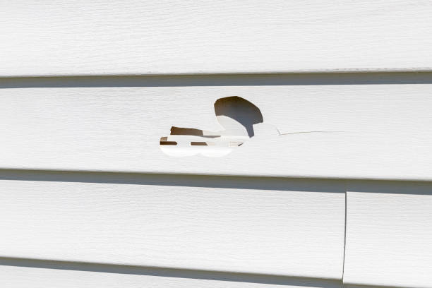 How To Choose The Right Materials for Your Siding Installation in 'Alum Rock, CA