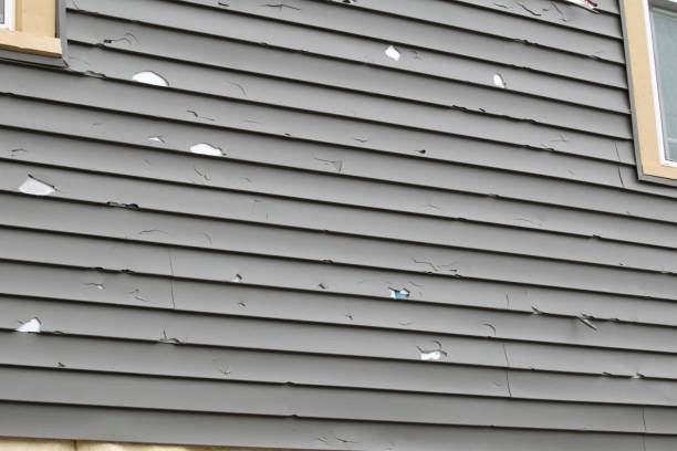 Custom Trim and Detailing for Siding in Alum Rock, CA