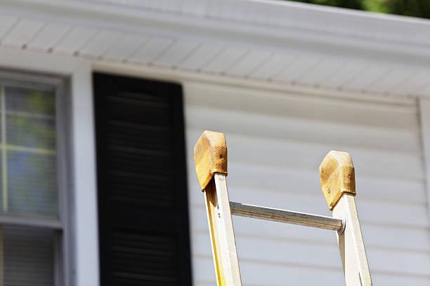 Best Custom Siding Design  in Alum Rock, CA